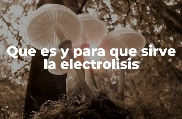 Aplicaciones industriales de la electrolisis