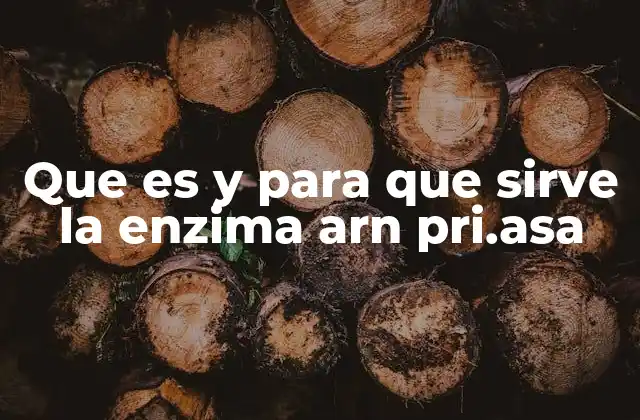 Que es y para que Sirve la Enzima Arn Pri.asa