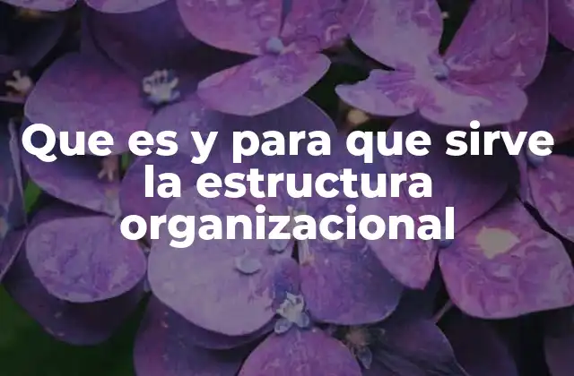 Que es y para que Sirve la Estructura Organizacional