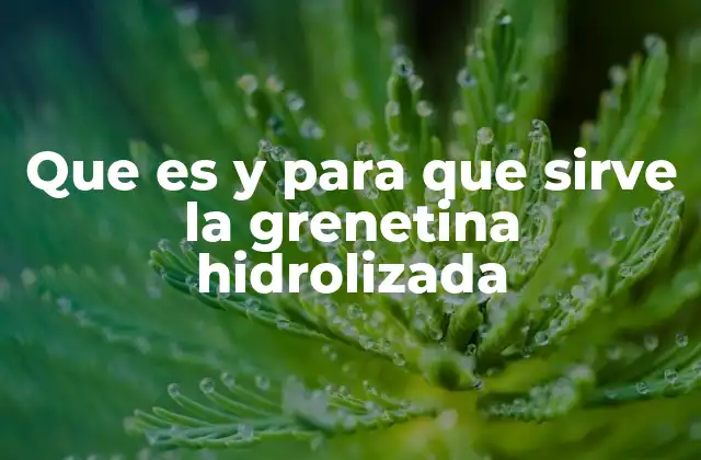 Que es y para que Sirve la Grenetina Hidrolizada
