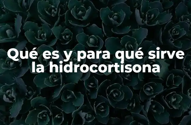 Qué es y para Qué Sirve la Hidrocortisona 2 Funcionamiento de la hidrocortisona en el cuerpo