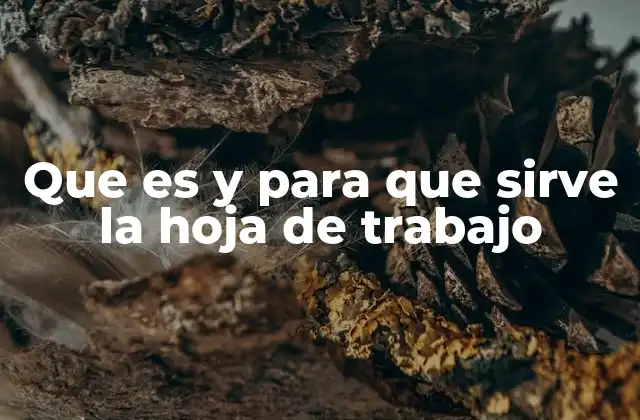 Que es y para que Sirve la Hoja de Trabajo 2 La importancia de las hojas de trabajo en la gestión de datos