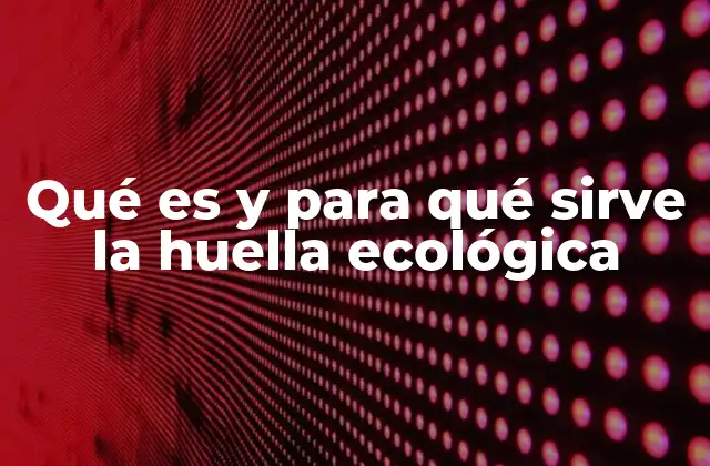 Qué es y para Qué Sirve la Huella Ecológica