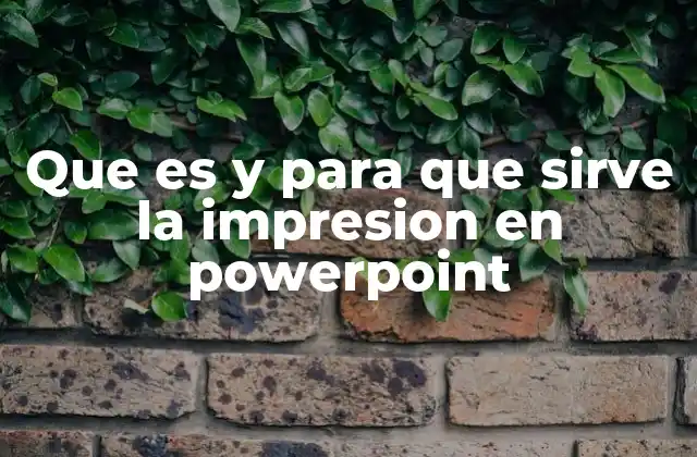 Que es y para que Sirve la Impresion en Powerpoint