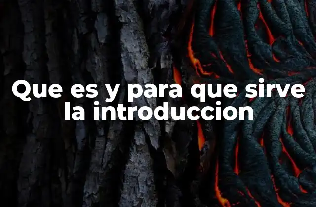 Que es y para que Sirve la Introduccion