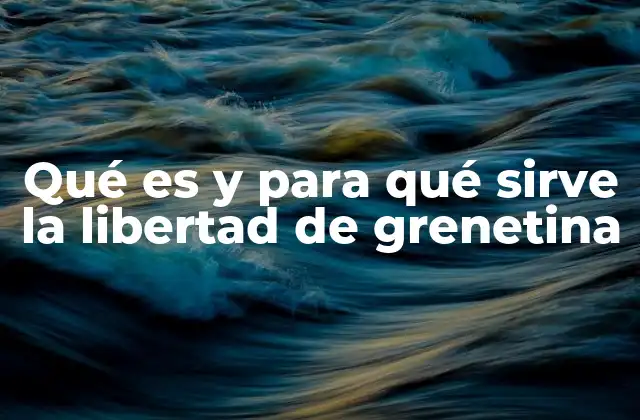 Qué es y para Qué Sirve la Libertad de Grenetina