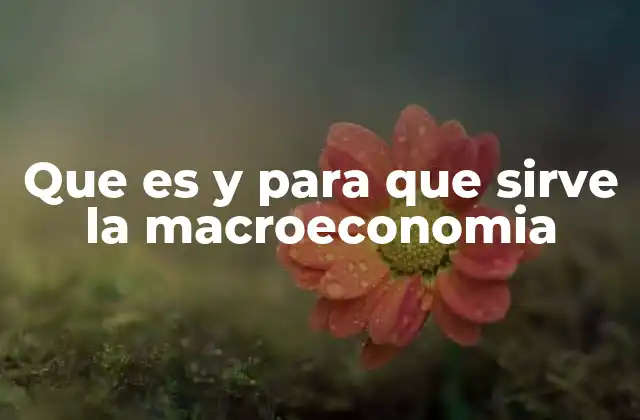 Que es y para que Sirve la Macroeconomia