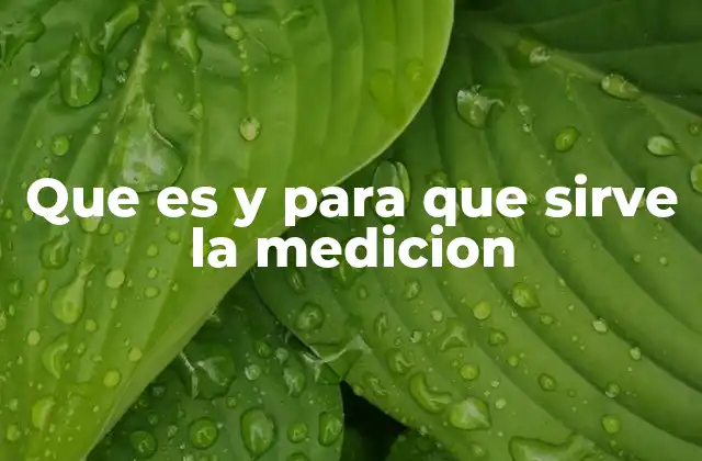Que es y para que Sirve la Medicion