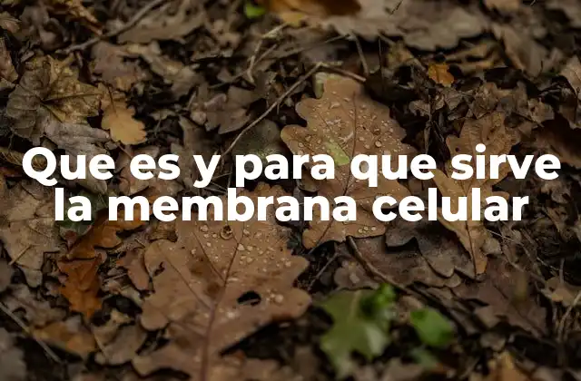 Que es y para que Sirve la Membrana Celular
