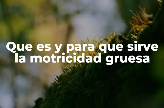 Que es y para que Sirve la Motricidad Gruesa