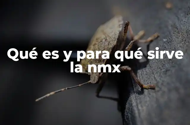 Qué es y para Qué Sirve la Nmx