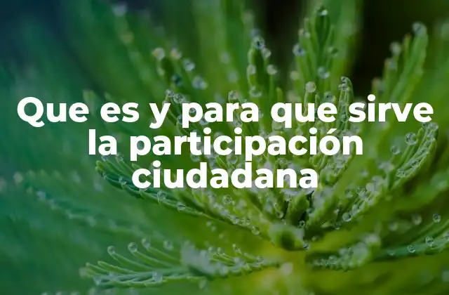 Que es y para que Sirve la Participación Ciudadana