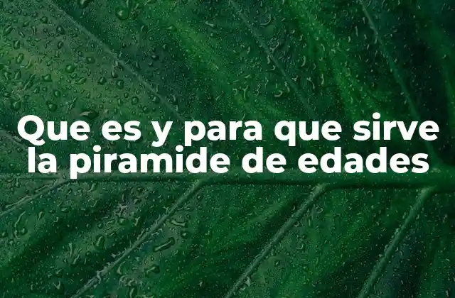 La estructura poblacional y su impacto en la sociedad