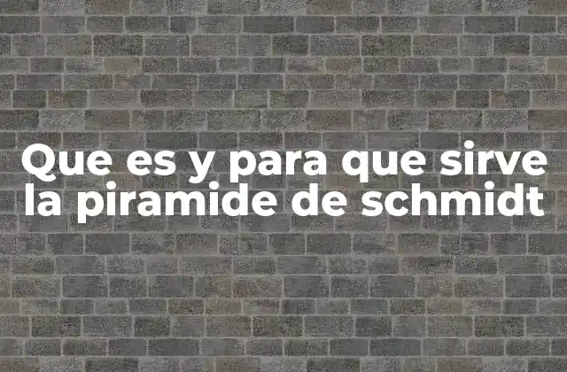 El proceso emocional humano a través de la pirámide de Schmidt