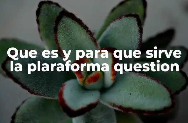 Que es y para que Sirve la Plaraforma Question