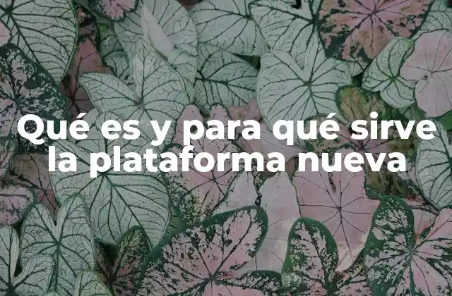 Qué es y para Qué Sirve la Plataforma Nueva