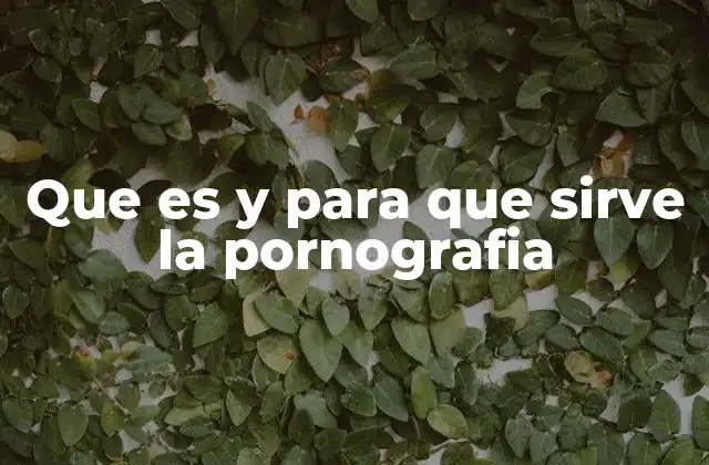 Que es y para que Sirve la Pornografia