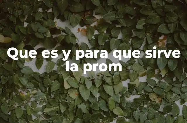 Que es y para que Sirve la Prom