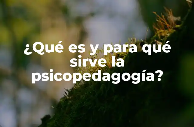 ¿qué es y para Qué Sirve la Psicopedagogía?