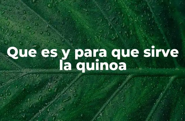 Que es y para que Sirve la Quinoa