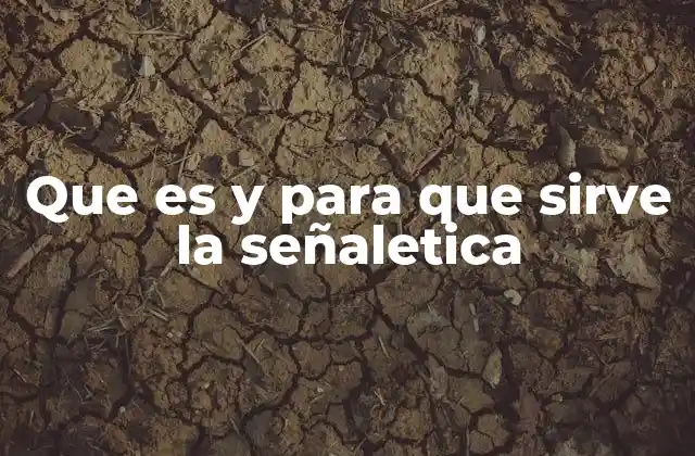 Que es y para que Sirve la Señaletica