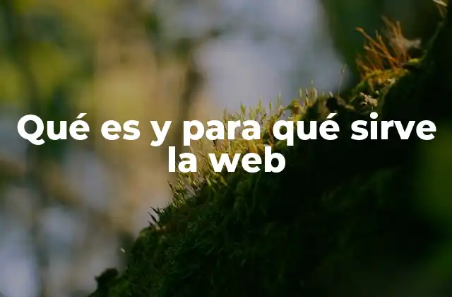 Qué es y para Qué Sirve la Web