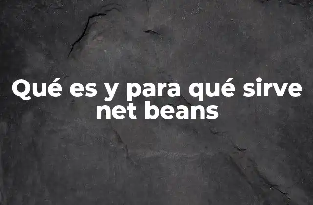 Qué es y para Qué Sirve Net Beans