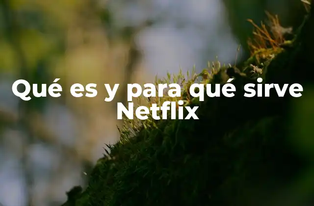 Qué es y para Qué Sirve Netflix