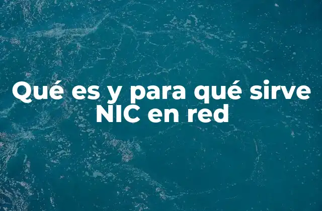 Qué es y para Qué Sirve Nic en Red