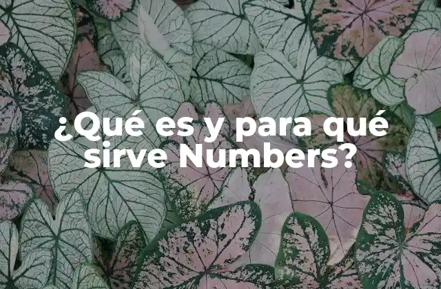 ¿qué es y para Qué Sirve Numbers?