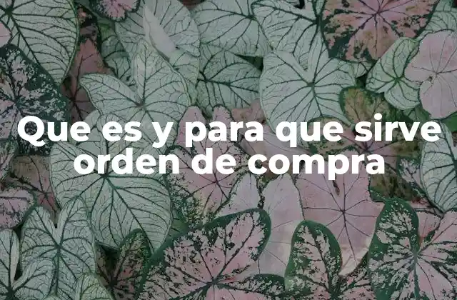 Que es y para que Sirve Orden de Compra