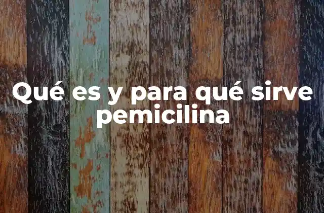 Qué es y para Qué Sirve Pemicilina