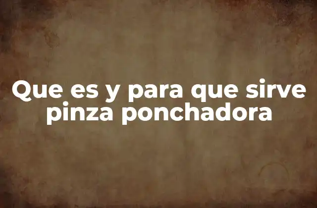 Que es y para que Sirve Pinza Ponchadora 2 Aplicaciones industriales y domésticas de la herramienta