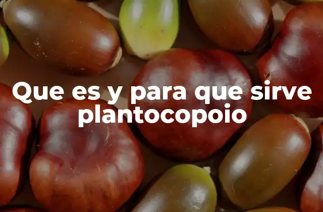 Que es y para que Sirve Plantocopoio