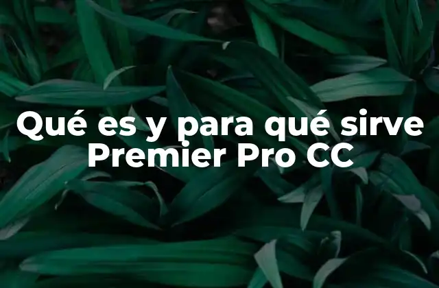 Herramientas y características principales de Adobe Premiere Pro CC