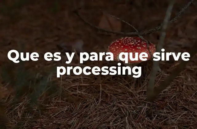 Que es y para que Sirve Processing