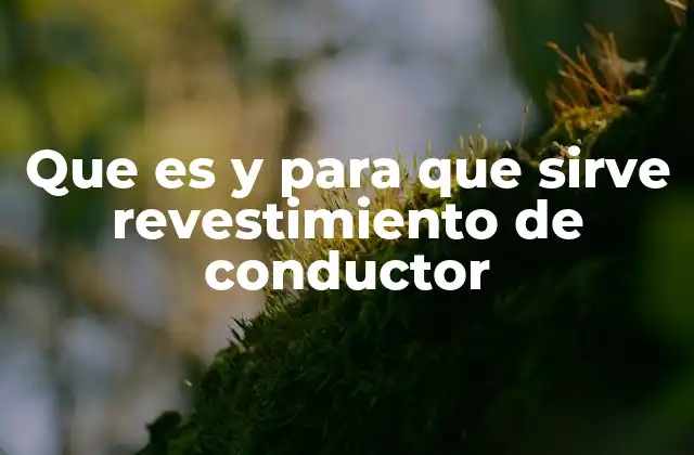 Que es y para que Sirve Revestimiento de Conductor