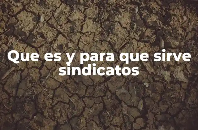 Que es y para que Sirve Sindicatos