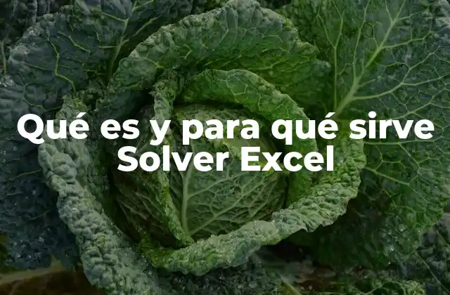 Qué es y para Qué Sirve Solver Excel