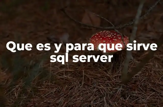 Que es y para que Sirve Sql Server