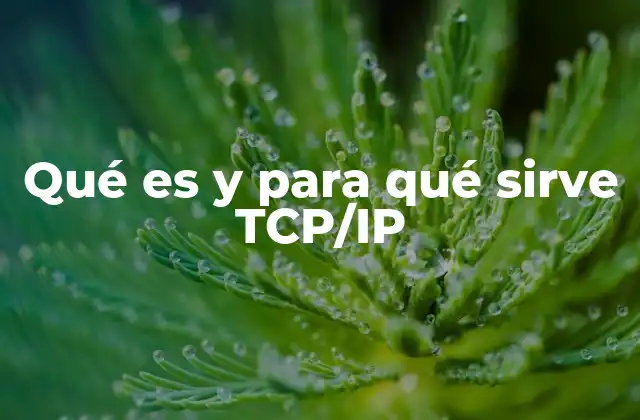 Qué es y para Qué Sirve Tcp/ip
