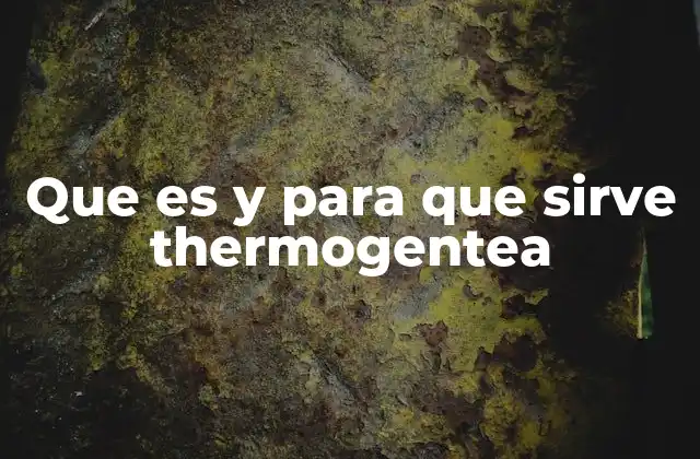 Que es y para que Sirve Thermogentea