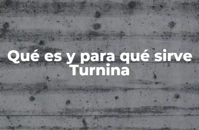 Qué es y para Qué Sirve Turnina