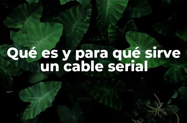 Qué es y para Qué Sirve un Cable Serial