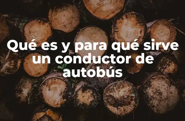Qué es y para Qué Sirve un Conductor de Autobús 2 El papel del profesional del transporte en la sociedad