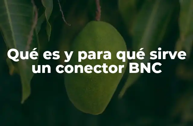 Qué es y para Qué Sirve un Conector Bnc