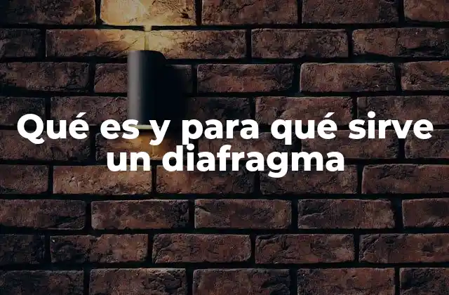 Qué es y para Qué Sirve un Diafragma