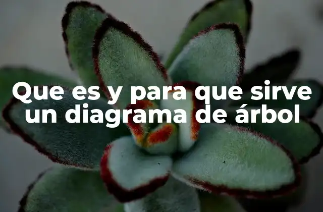 Que es y para que Sirve un Diagrama de Árbol