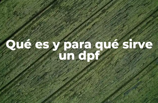 Qué es y para Qué Sirve un Dpf