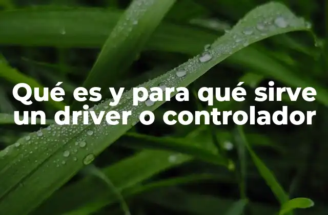 Qué es y para Qué Sirve un Driver o Controlador